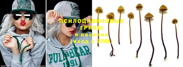 PSILOCYBIN Белокуриха