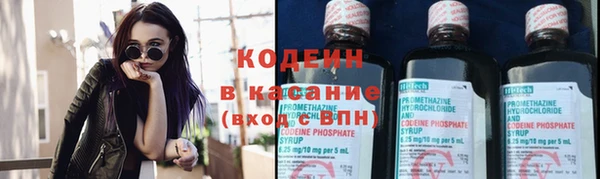 PSILOCYBIN Белокуриха
