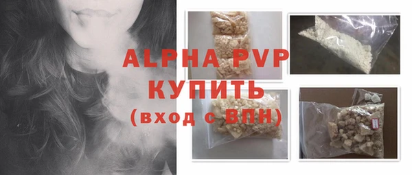 PSILOCYBIN Белокуриха
