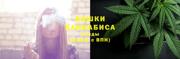 PSILOCYBIN Белокуриха