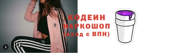PSILOCYBIN Белокуриха