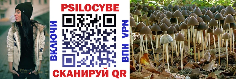 Галлюциногенные грибы Cubensis Нестеровская
