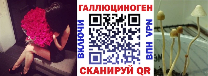 Галлюциногенные грибы MAGIC MUSHROOMS mega зеркало мориарти как зайти Нестеровская